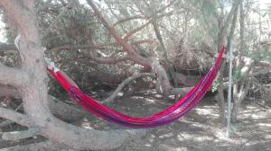 Fotografie z fotogalerie ubytování En Finca Las Dunas dos Chalets con jacuzzis en primera linea de playa , uno de 4 dormitorios y otro de 2 dormitorios, Llama al Seiscientos veintisiete Cuatrocientos diecisiete Trescientos noventa y ocho v destinaci Rota