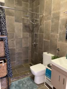 un baño con ducha y WC en Flamingo City Lux, en Famagusta 39 fotos más