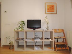 TV a/nebo společenská místnost v ubytování Apartament Besalú
