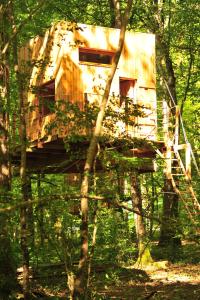 a tree house in the middle of the woods at Cabanes Espace Fouletot in Mont-sous-Vaudrey