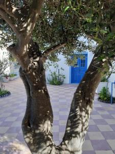 uma árvore em frente a um edifício com uma porta azul em Katerina Kafieri Apartments em Firostefani
