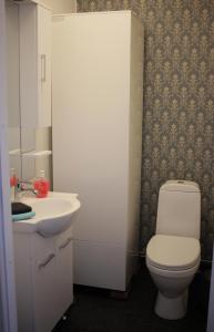 a bathroom with a white toilet and a sink at B&B Lapväärtti in Lapväärtti