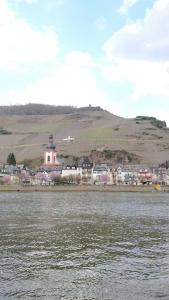 Eine Stadt mit einem Leuchtturm inmitten eines Wasserkörpers in der Unterkunft Villa Cella in Zell an der Mosel