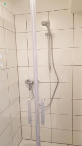 a shower with a shower head in a bathroom at Pforzheim Ferienhaus in Pforzheim +70 photos