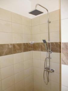 La salle de bains est pourvue d'une douche avec un pommeau de douche. dans l'établissement Rodinný Penzion Kyjov, à Kyjov