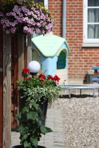 Zahrada ubytování Hostel Rudbøl
