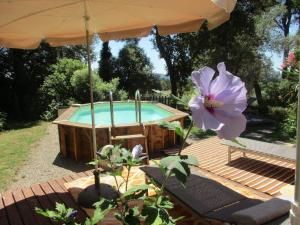 une fleur assise à côté d'une piscine avec un parasol dans l'établissement Shanti House Luberon, à Cheval-Blanc