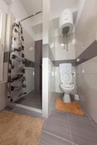 uma casa de banho com um WC e um chuveiro em Hostel -Sema em Mostar