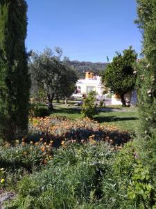 einen Garten mit Blumen vor einem Haus in der Unterkunft Casa da Paleta in Castelo de Vide