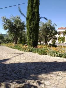 een schaduw van een boom in een park met bloemen bij Casa da Paleta in Castelo de Vide