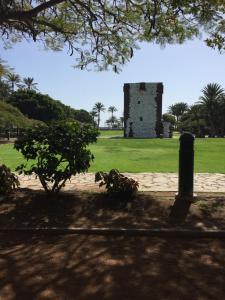 サン・セバスティアン・デ・ラ・ゴメラにあるApartamentos Hautacupercheの畑中の木の建物