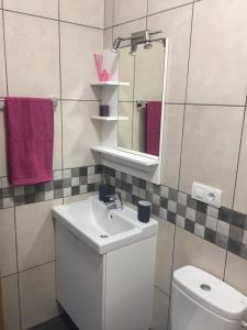 y baño con lavabo, espejo y aseo. en Apartamentos Hautacuperche, en San Sebastián de la Gomera