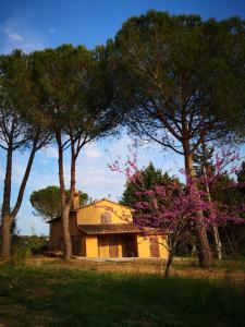una casa con árboles delante de ella en Il Montedoro en Guardistallo