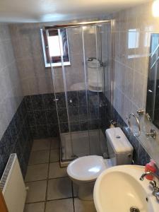 a bathroom with a shower and a toilet and a sink at Spanos House in Goudhi