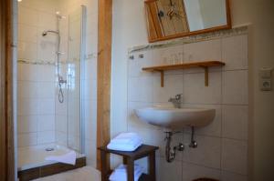 ein Bad mit einem Waschbecken und einer Dusche in der Unterkunft Schloss Herberge Hohenerxleben in Hohenerxleben