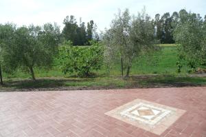 een stenen patio met bomen en een veld op de achtergrond bij Fattoria San Vincenzo in Marina di Grosseto