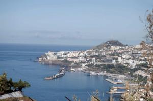 uma vista para um porto com barcos na água em Villa Reis Sao Goncalo no Funchal
