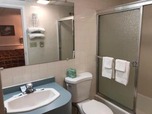 a bathroom with a toilet and a sink and a shower at The Autumn Inn in Bennington