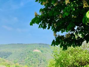 Galeriebild der Unterkunft Villa Mandelblüte in Gleiszellen-Gleishorbach + 23 Fotos