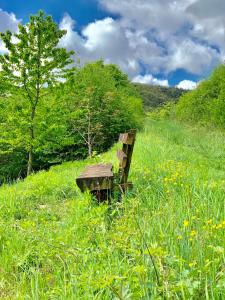 Galeriebild der Unterkunft Villa Mandelblüte in Gleiszellen-Gleishorbach