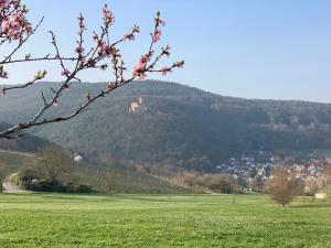Galeriebild der Unterkunft Villa Mandelblüte in Gleiszellen-Gleishorbach