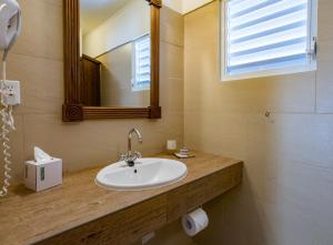 a bathroom with a sink and a mirror at Casa Amalia in Willemstad