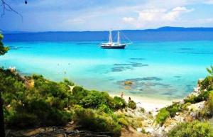 Táj Show holiday homes közelében