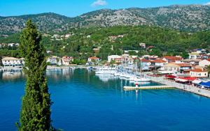 Táj Show holiday homes közelében