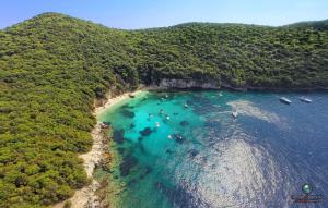 Táj Show holiday homes közelében