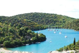 Táj Show holiday homes közelében