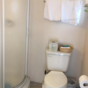 a bathroom with a toilet and a shower and towels at Sunshine L.A in Van Nuys