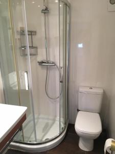 uma casa de banho com um WC e uma cabina de duche em vidro. em VISTAS AL MAR em Santander