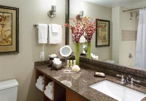 a bathroom with a sink and a mirror at Crowne Plaza Minneapolis West, an IHG Hotel in Plymouth