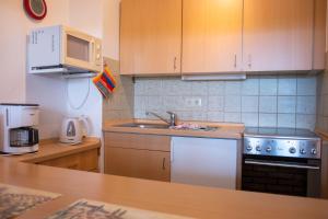 a small kitchen with a sink and a microwave at Haus am Deich Wohnung 5 in Dahme
