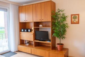 a entertainment center with a tv and a potted plant at Haus am Deich Wohnung 9 in Dahme
