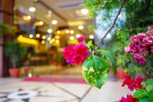 Taman di luar Hotel Iceland