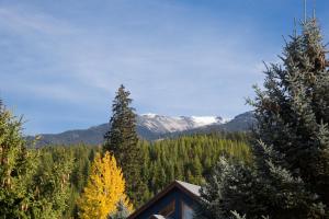 Gallery image of Whistler Log Cabin Suite in Whistler