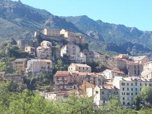 un pueblo en una colina con casas en él en charmant studio dans résidence neuve et calme, en Corte