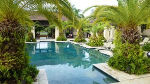 a swimming pool with palm trees in a yard at Villa Esmeralda in Rio Grande