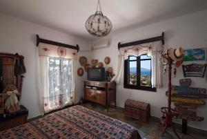 een slaapkamer met een bed, een tv en ramen bij Farm Villa Dova in Vathírrevma