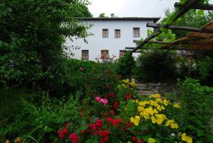 モウレシにあるArchontiko Iatridisの白家の前の花の庭園