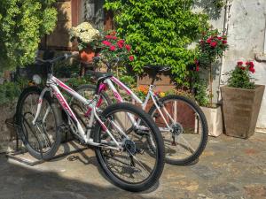 two bikes parked next to each other in front of flowers at Varosi Guesthouse in Edessa