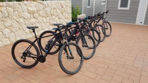 Jazda na bicykli v okolí ubytovania Villa Anka