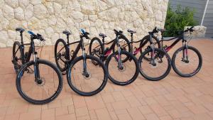 Jazda na bicykli v okolí ubytovania Villa Anka