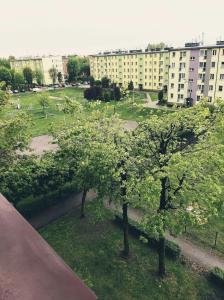 Blick auf einen Park mit Bäumen und Gebäuden in der Unterkunft Perfekt place in Oświęcim