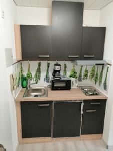 a kitchen with a sink and a counter top at Mike's Apartment inkl. Oberstaufen Plus Card in Oberstaufen