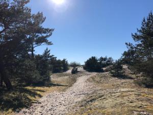 Galeriebild der Unterkunft Amber Loft in Nida