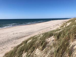 Galeriebild der Unterkunft Amber Loft in Nida