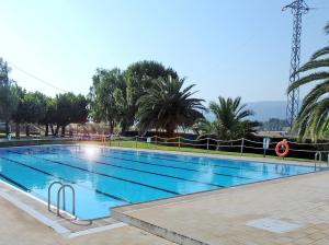 a large blue swimming pool with trees in the background at Camí de la Font in Cretas