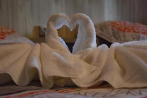 dois cisnes embrulhados em toalhas numa cama em Hotel des Remparts em Villeneuve-sur-Lot